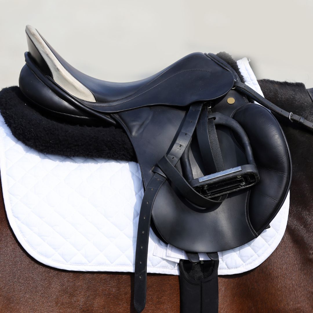 Blissful Pro Dressage Saddle